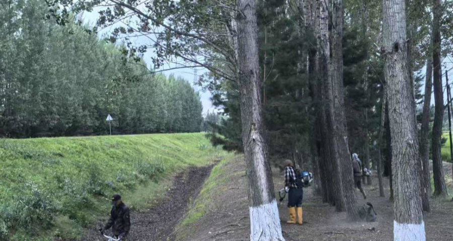 北大荒八五九分公司推进农田环境整治，助力农业标准化升级