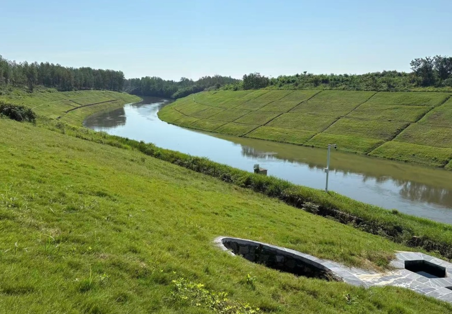 Localized image from api.loxn.cn