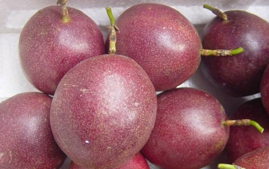 百香果种植图片