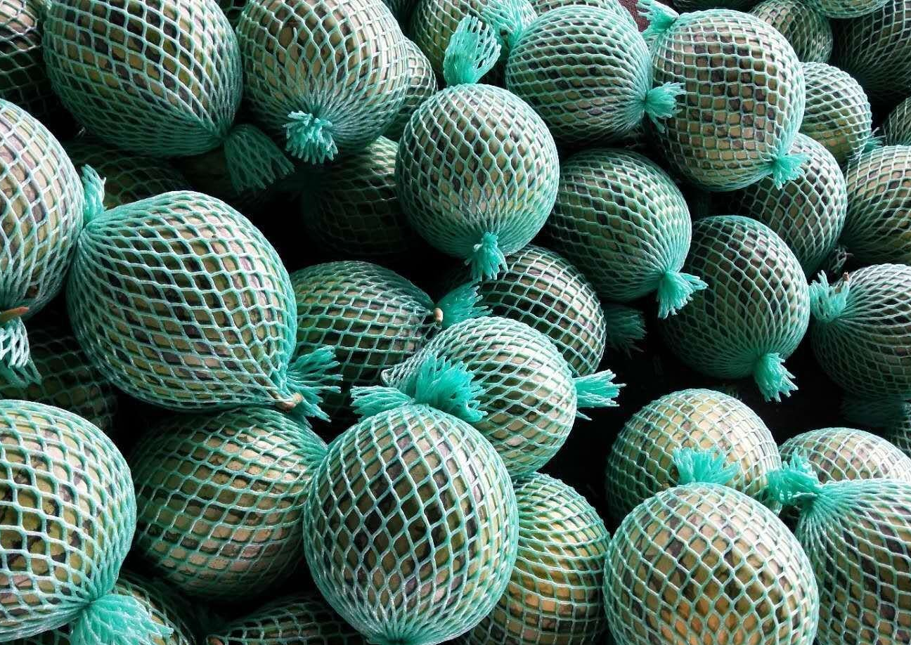 无籽西瓜市场相关图片