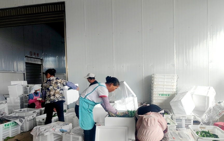 凤凰街道农产品