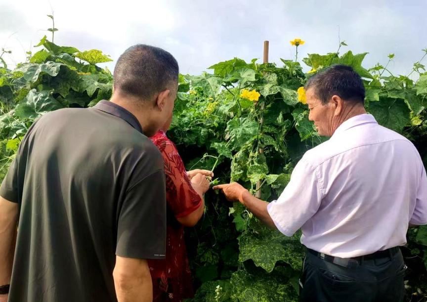渊子崖村共富工坊
