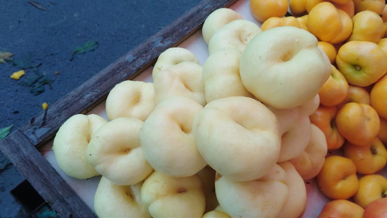 不同品种蟠桃对比图