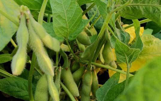 Localized image from t5.picb.cc