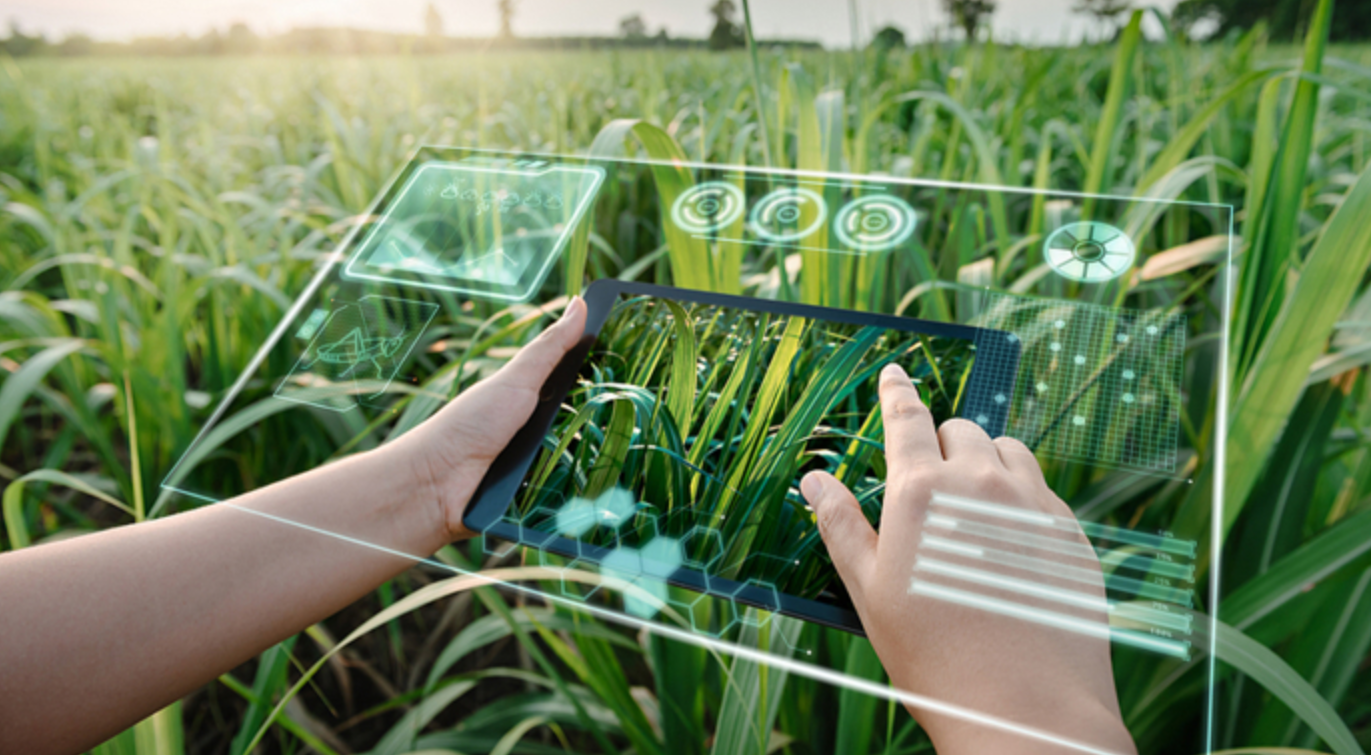 神农大模型3.0：开启农业人工智能新时代 并向全球开放