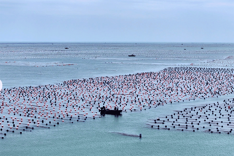 现代化海洋牧场