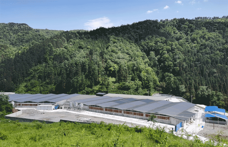 畜禽养殖禁养区是如何划定的？