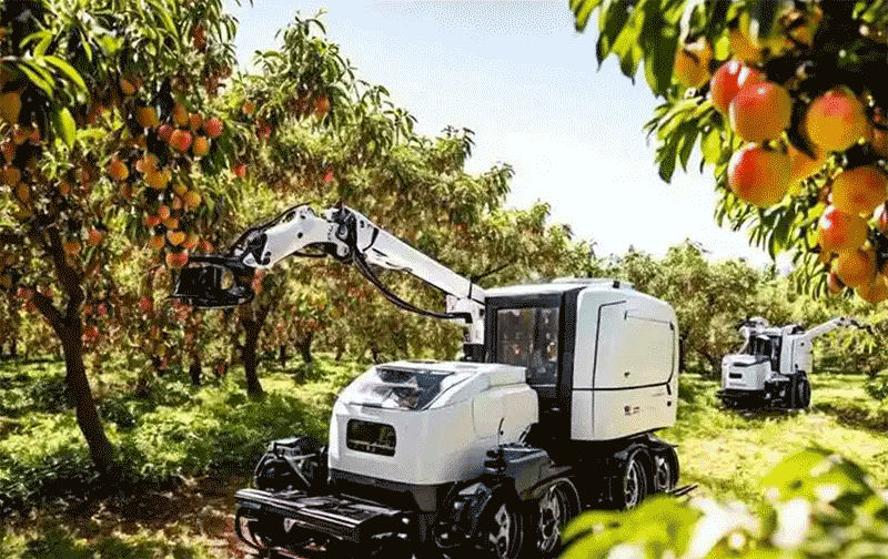 AI机器人采摘场景