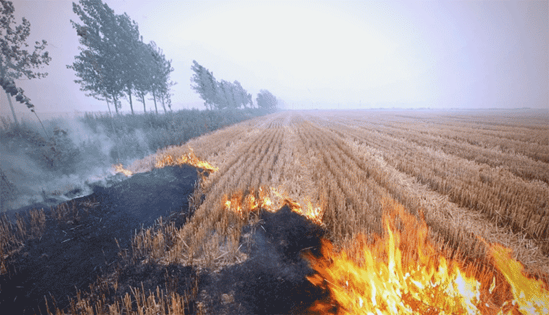 农家秸秆该不该烧？