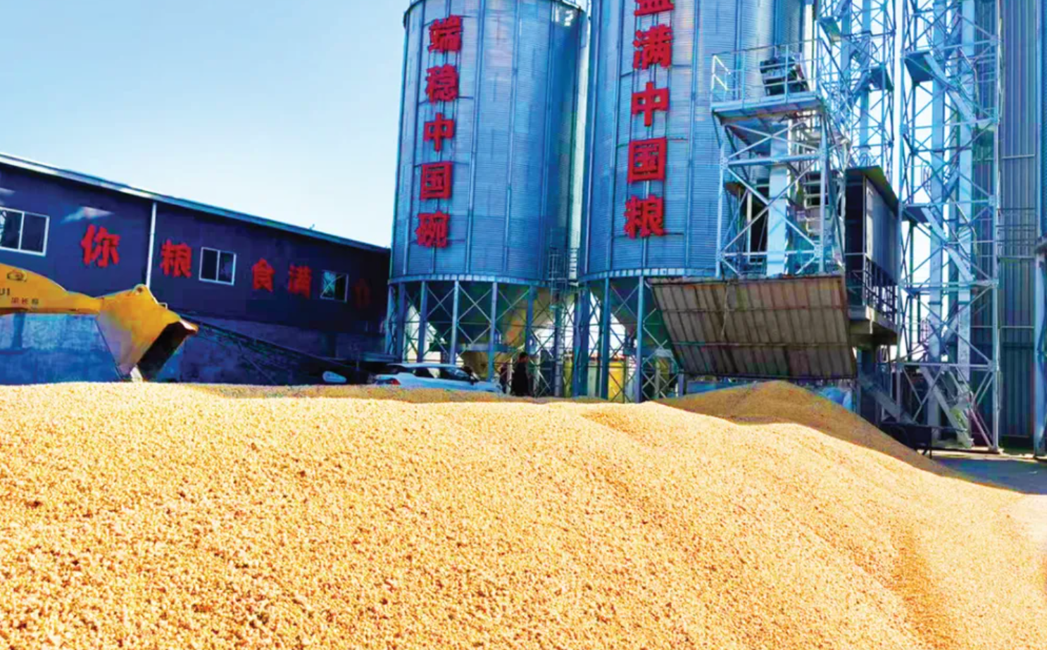 科技赋能三秋生产 青岛六汪镇打造粮食安全与农民增收双保障新模式