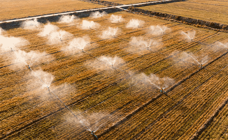 滴灌微灌技术应用与系统维护全解析