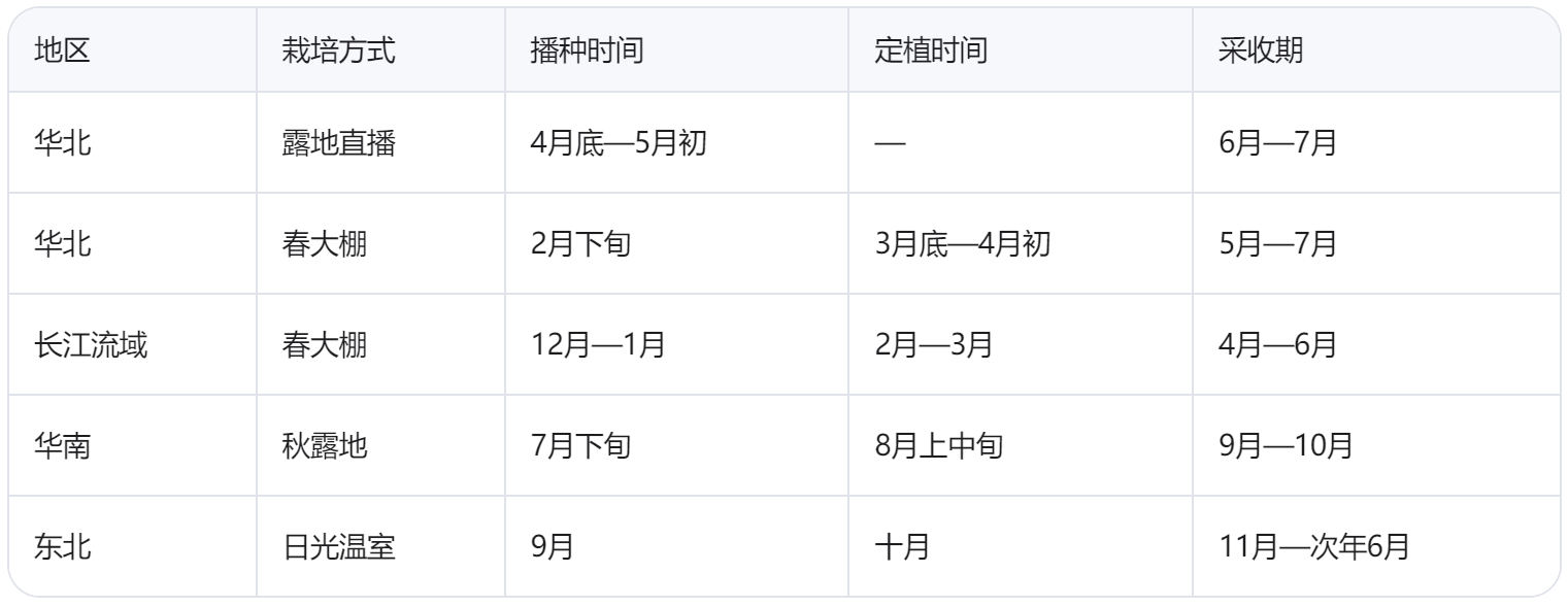 黄瓜种植的最佳时间是几月?