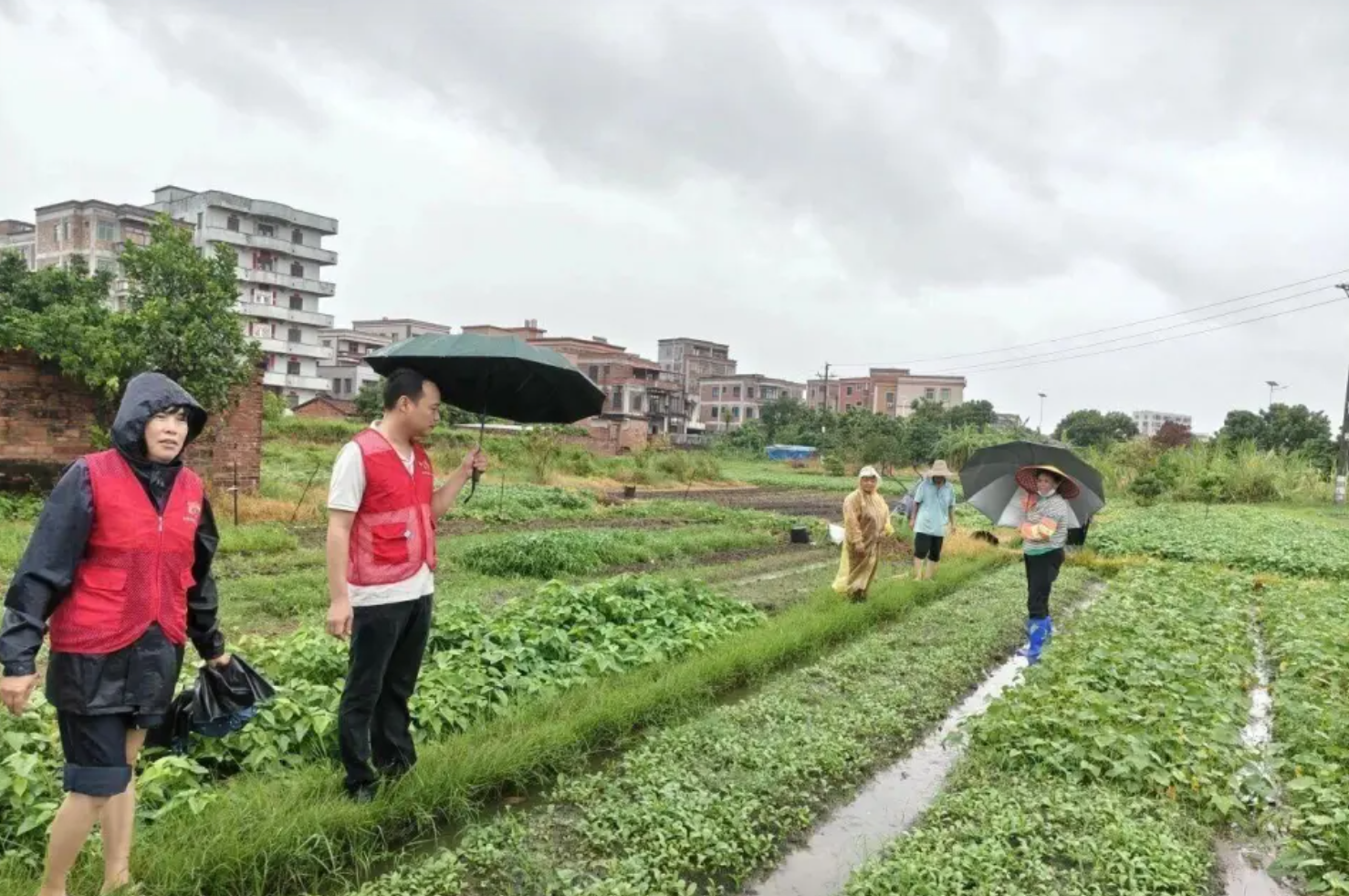 台风“麦德姆”携14级强风在广东徐闻东部沿海登陆