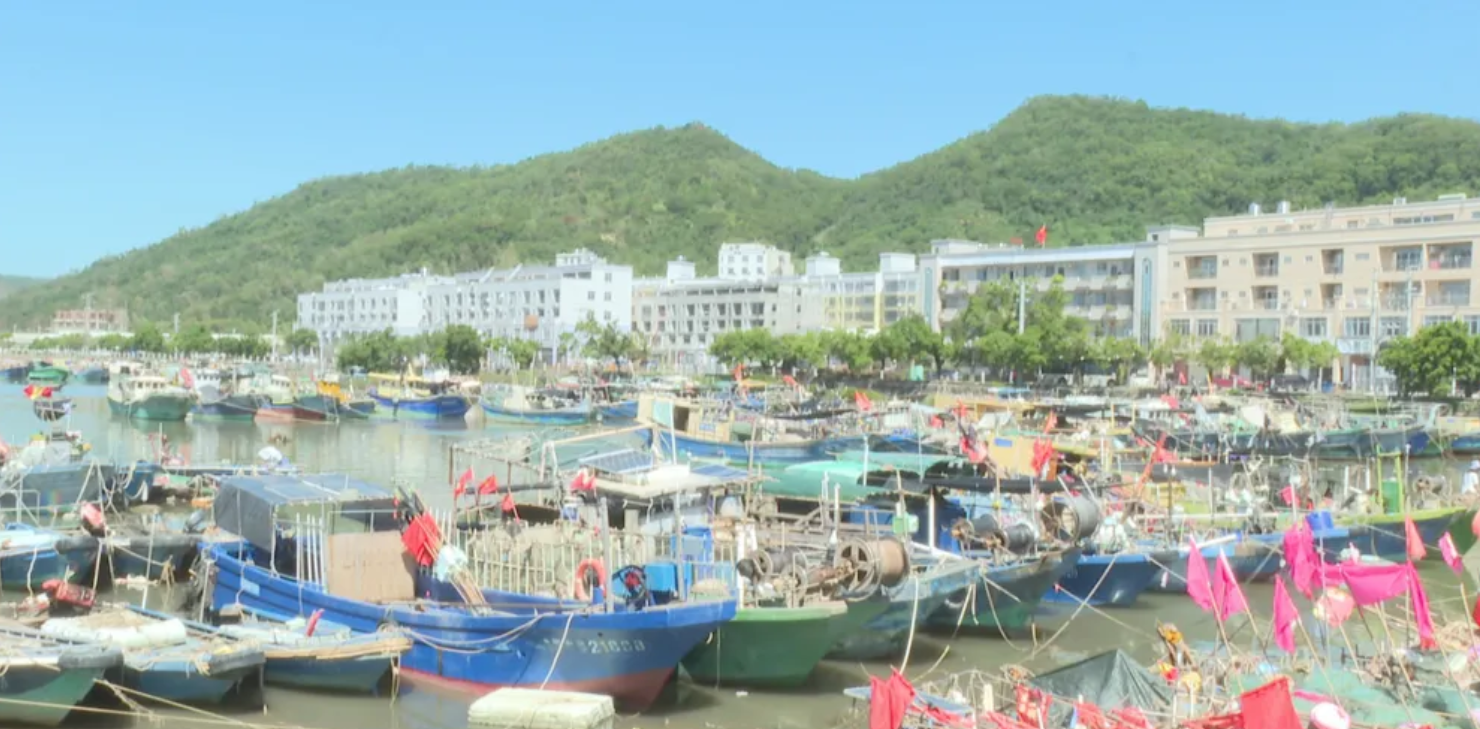 台风“麦德姆”携14级强风在广东徐闻东部沿海登陆