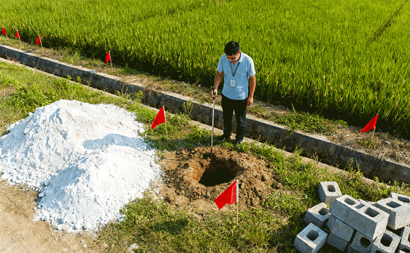 农田鼠洞排查场景，探针探测与标记旗标注远景