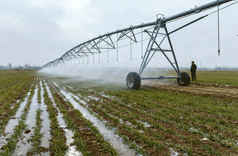 冬小麦田封冻水灌溉，大型喷灌机作业远景