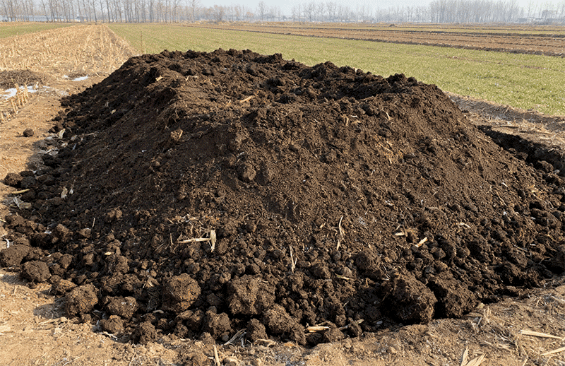 庭院沤肥坑，厨余垃圾与草木灰混合坑槽远景