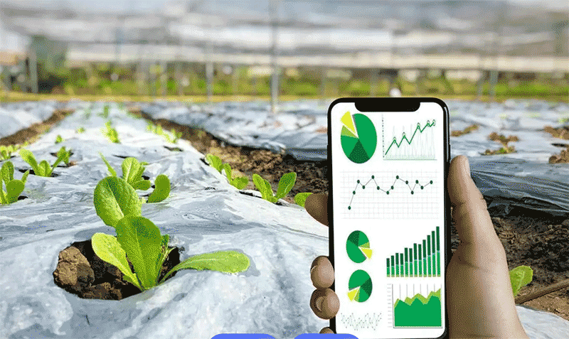 人工智能如何重塑中国农业新未来？