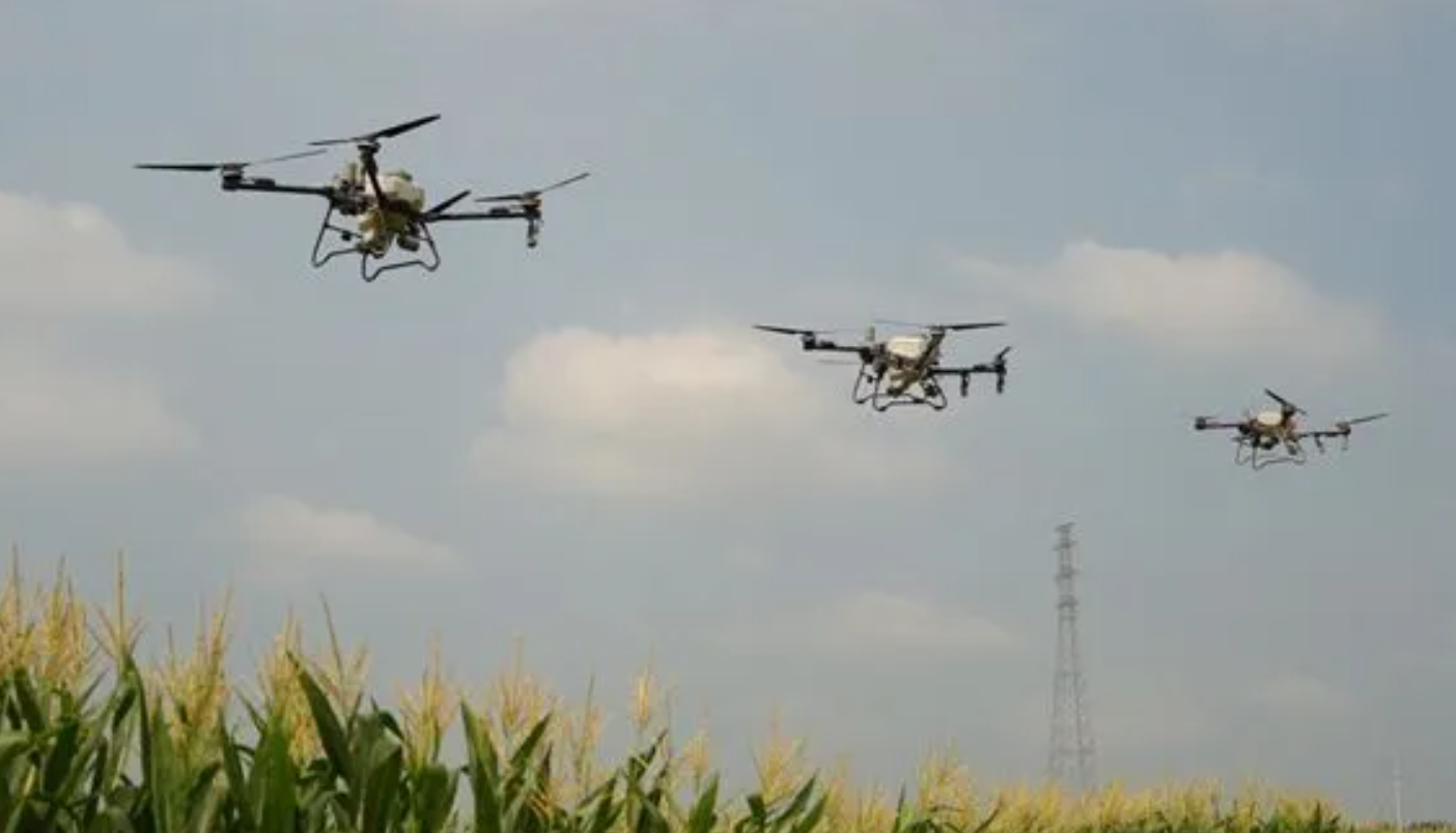 四大密钥解锁乡村振兴 C 位密码！产业融合 科技赋能等路径助县域发展