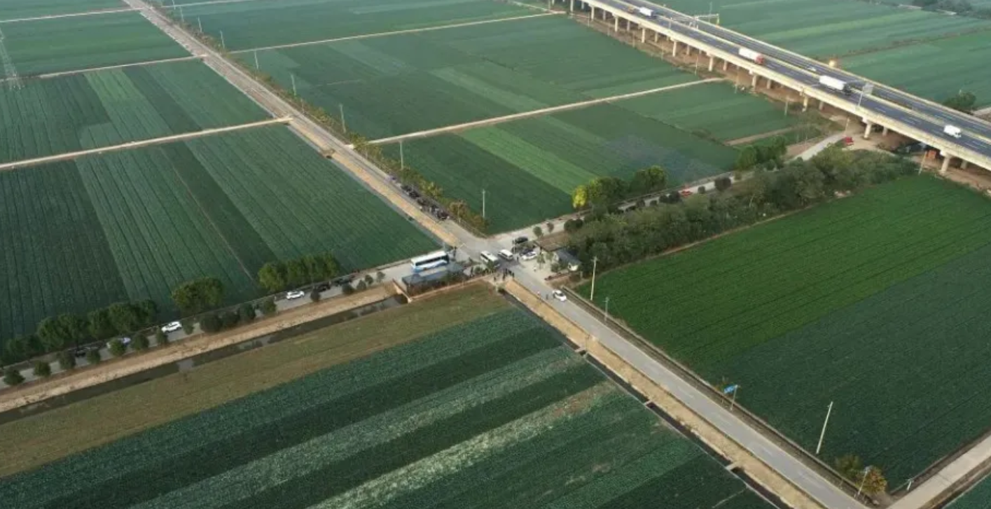 四大密钥解锁乡村振兴 C 位密码！产业融合 科技赋能等路径助县域发展