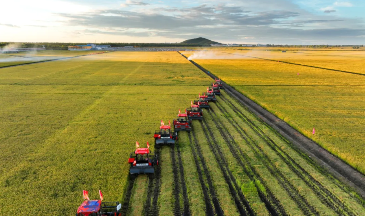 东北黑土地保护有哪些新措施?有机质提升技术能申请技术补贴吗?
