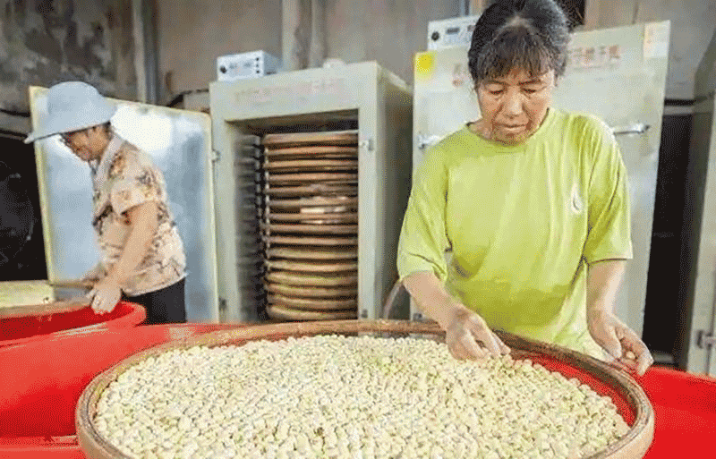 鄂州上倪村莲子加工厂生产线