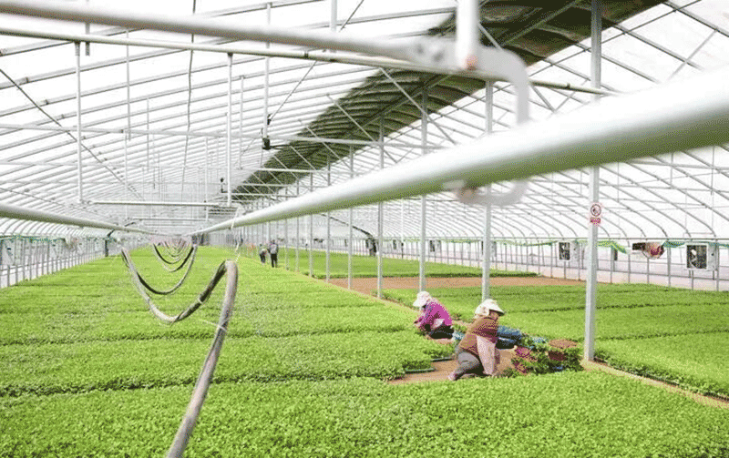 资源节约与环境改善