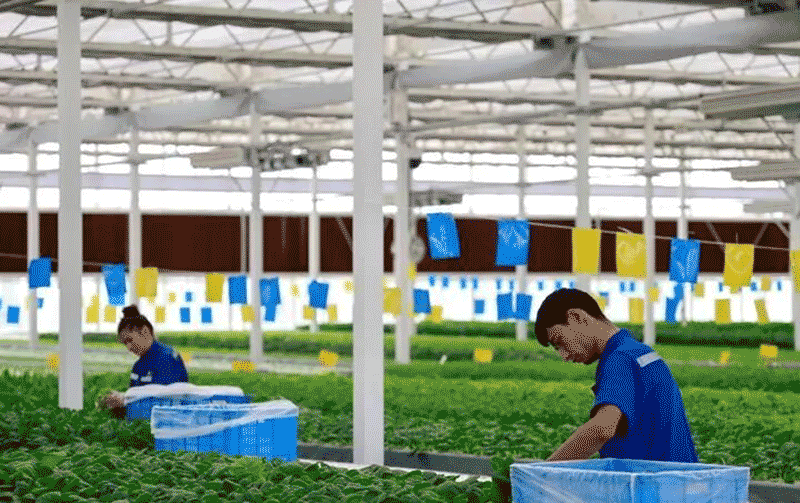 金融助力农业绿色转型