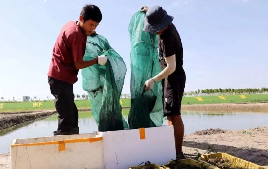 岳普湖县万邦水产养殖基地