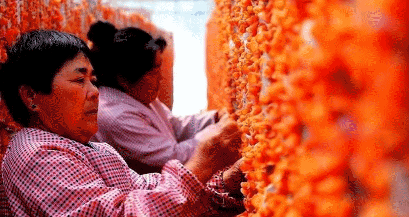 邹城产业抱团发展