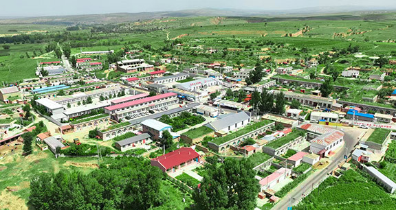 五良太乡土地流转景象