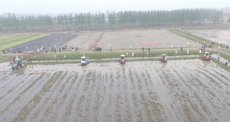 潜江虾稻产业链企业