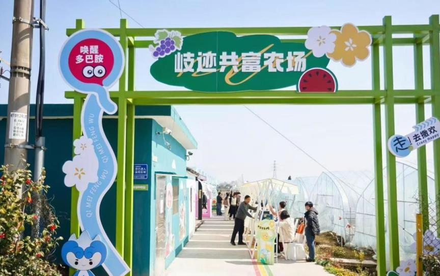 鄞州乡村发展成果