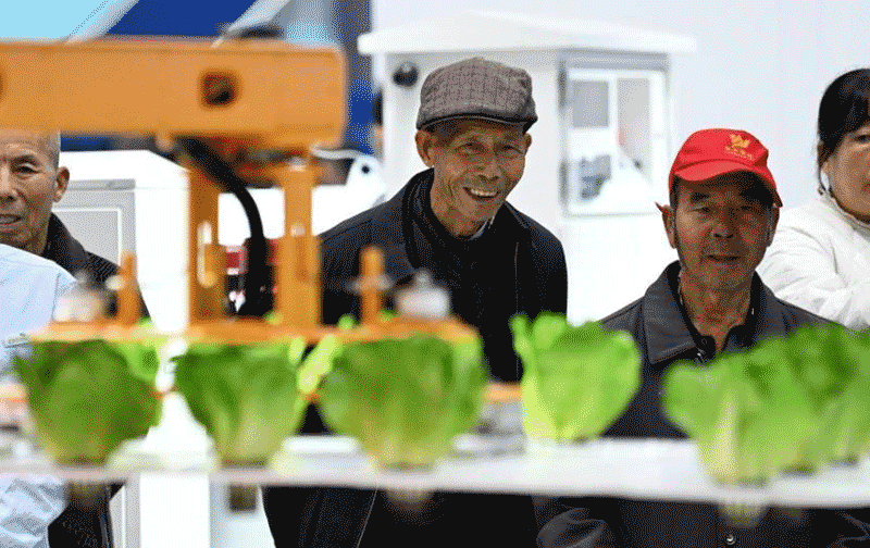 AI农具相关图片