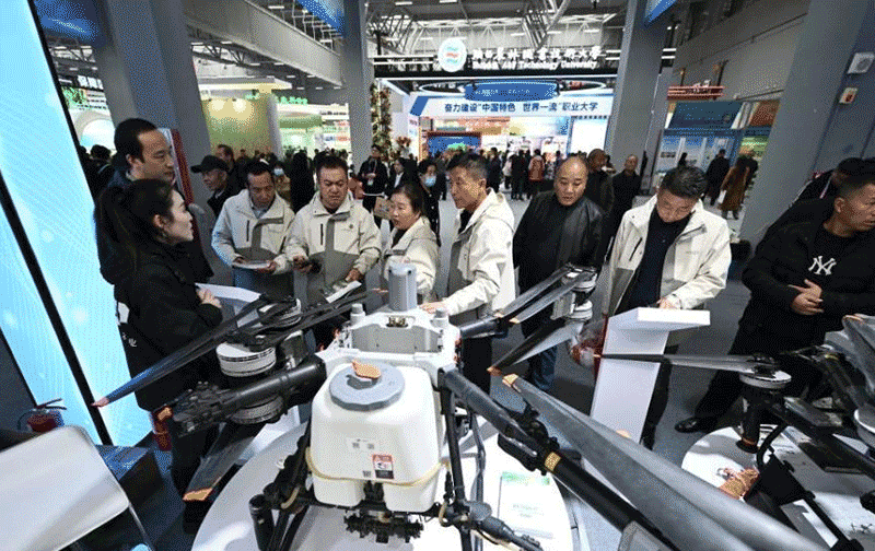 乡村新变量相关图片