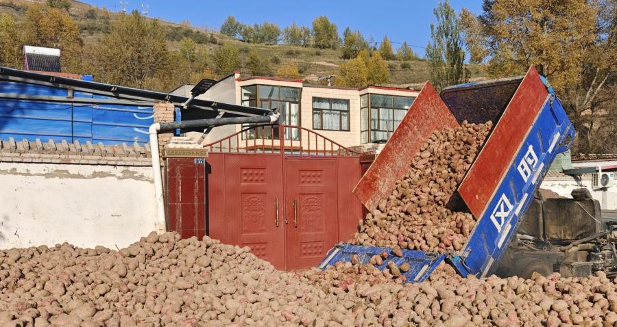 农业技术应用场景