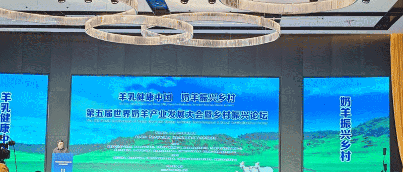 陇县奶羊产业相关场景