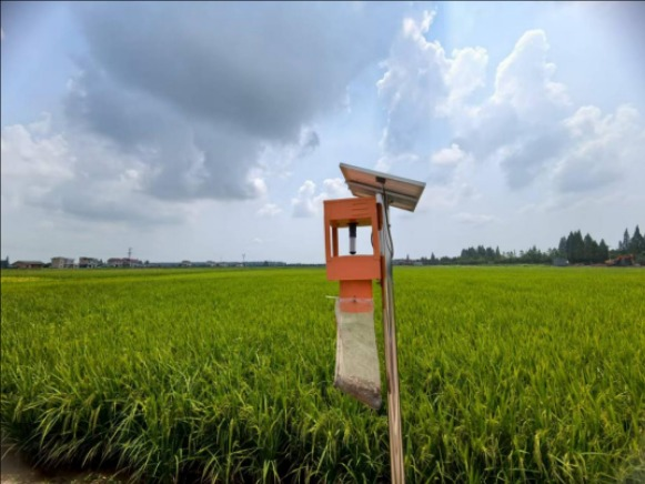 "农田建设+乡村治理"双赢模式：南县27万亩高标准农田带来的3大社会效益