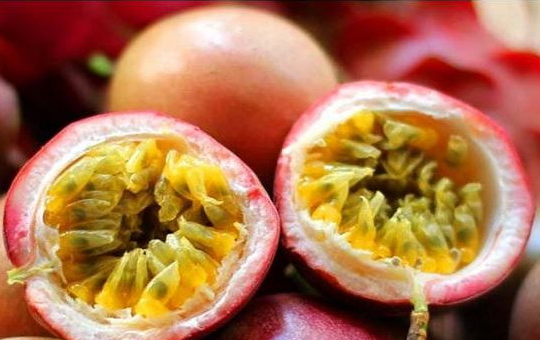 百香果不同生长阶段怎么施肥 幼苗期氮肥中期钾肥采果后补氮肥要点