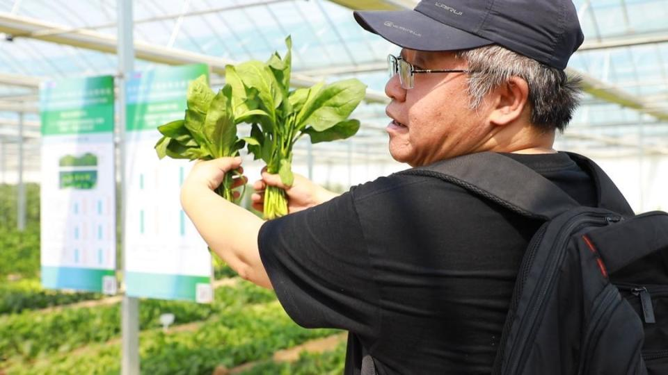 鲁西集团富氢水灌溉装置有何优势 助力聊城碳氢农业示范基地建设