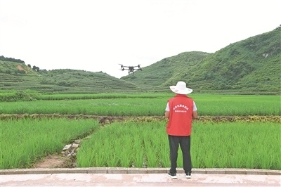贵阳贵安：数字技术赋能农业乡村振兴新图景
