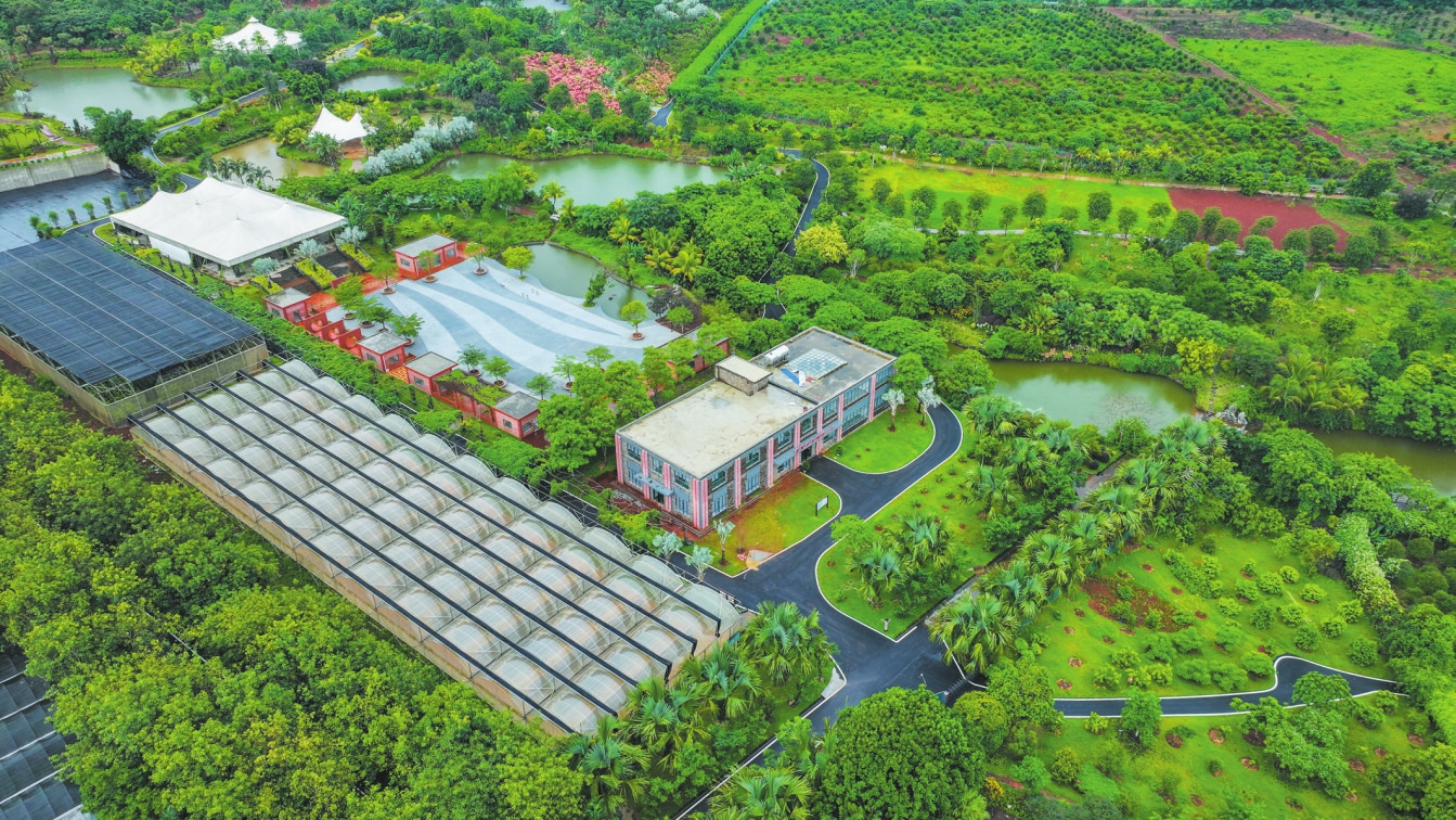 海南“水果大观园”:科技赋能农业,助力乡村振兴