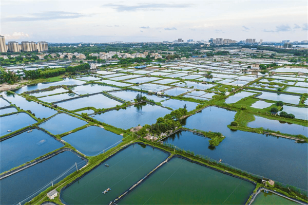 现代农业科技:创新驱动下的高效发展之路