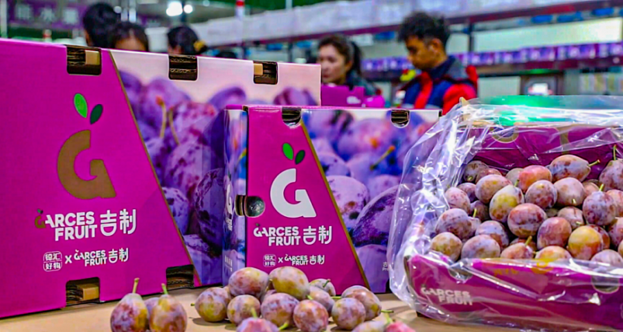 科技赋能+链群升级：喀什现代农业产业园迈向高质量发展