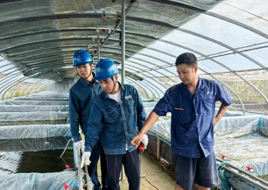 国网焦作供电公司贴心服务 助力南西村朱华华金鱼养殖场发展