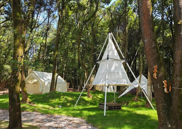 江西鹰潭东川村：高标准农田升级 + 农旅产业融合，127 户村民共享发展红利