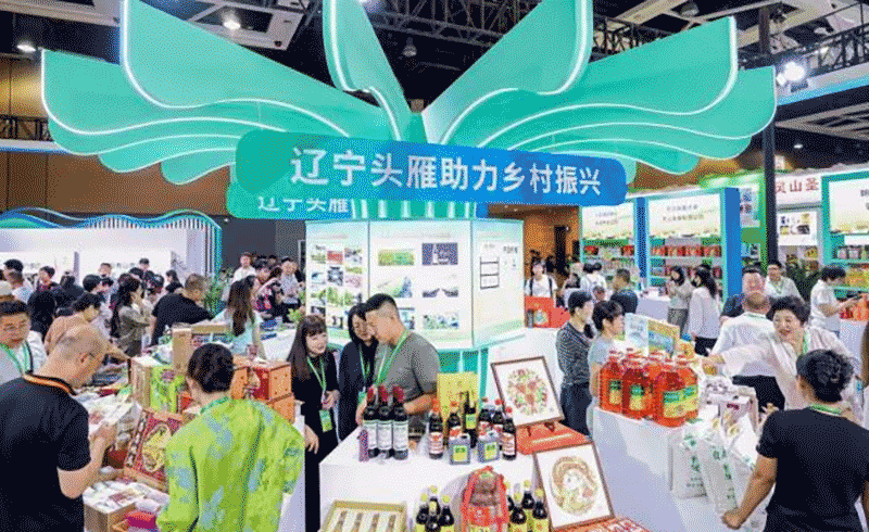 沈阳农博会：科技引领农业现代化，国际合作助力乡村振兴