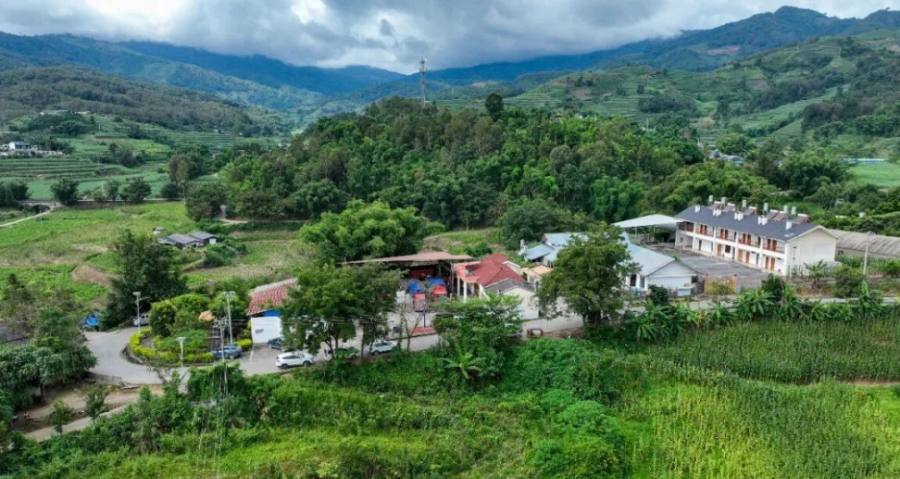 勐约乡桑蚕产业提质增效:标准化养殖技术、深加工产品及助农增收 1100 万元成果介绍