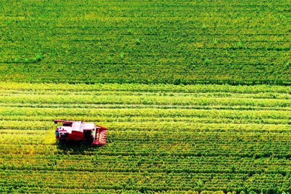 《加快建设农业强国规划(2024—2035年)》正式印发