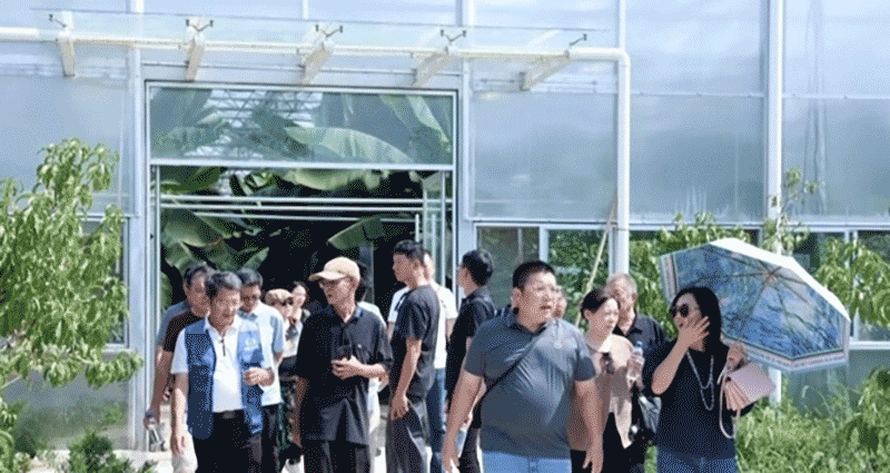 沪台青年共聚崇明，推进智慧生态农业发展